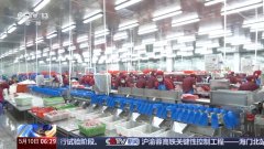 转内销察看丨从“尺度化出口”到“定制